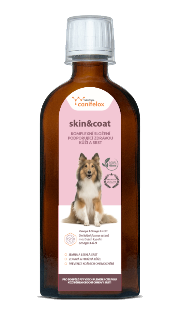 Skin&Coat Dog